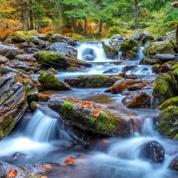 Enjoy Puzzle - Forest Stream in Autumn